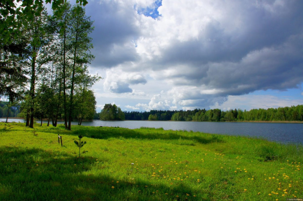 Зеленая лужайка на берегу озера